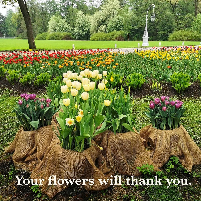 Burloptuous 40" x30 Feet Gardening Burlap Roll - Multipurpose Natural Burlap Fabric, High Density Jute Fiber Material for Decorations, Center Pieces for Home, Rustic Party Décor - Image 3